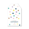 Pastel Confetti Birthday Gift Tag